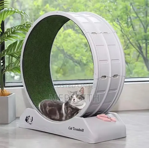 Cat Threadmil · Photo 1