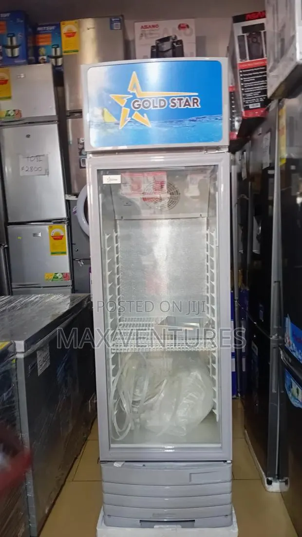229L Display Fridge Gold Star – Perfect for Drinks Business 229L · Photo 1