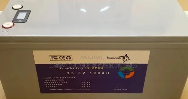 Lithium Battery LiFePO4 24V 100Ah Deep Cycle Battery