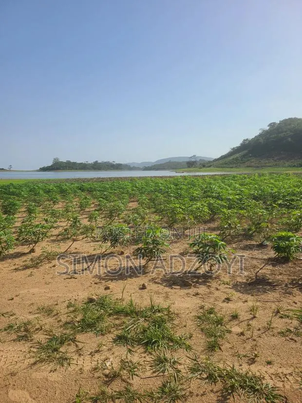 1000 Acres Volta River Front for Rent · Photo 1