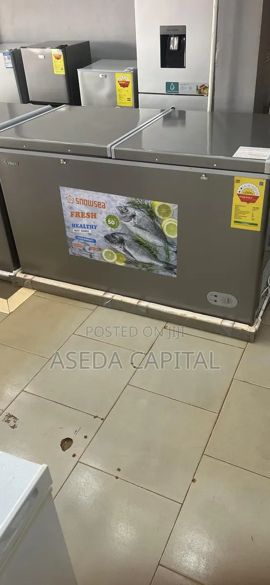 410L Chest Freezer · Photo 1