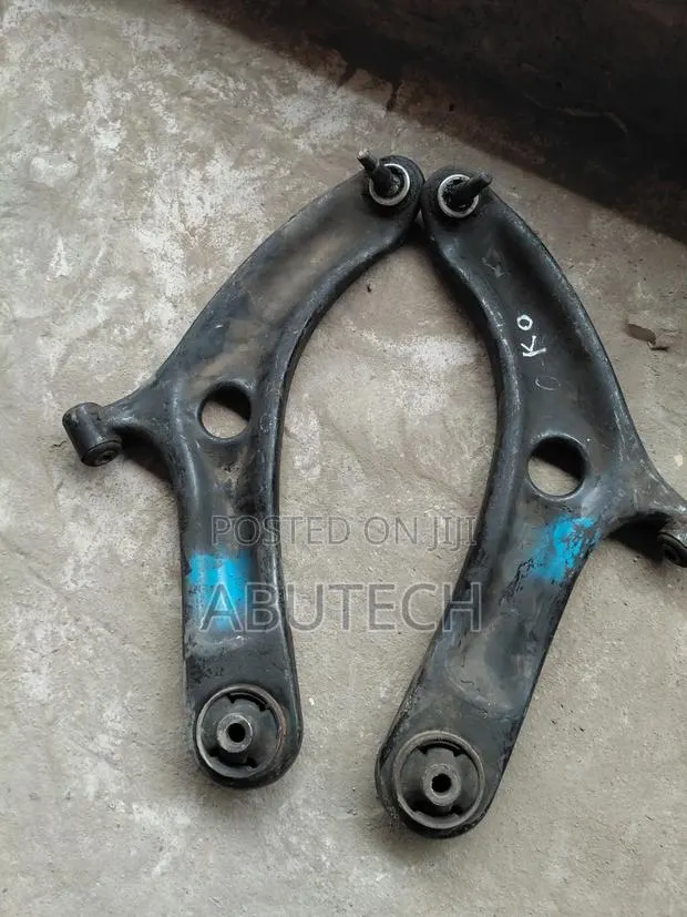 Lowerarm Hundia I 20 · Photo 1