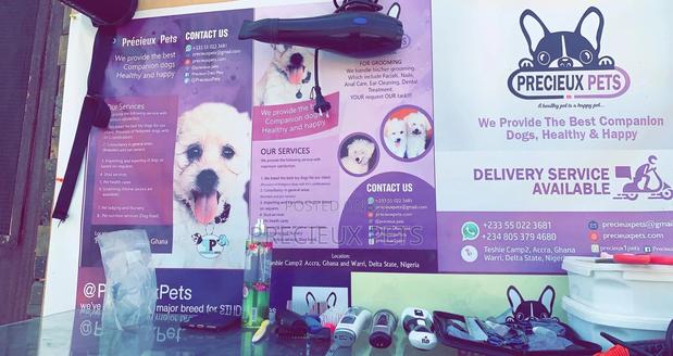 Grooming For Poodles · Photo 1