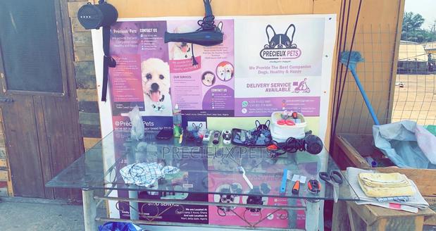 Pet Grooming (Kennel’S Cut) · Photo 1