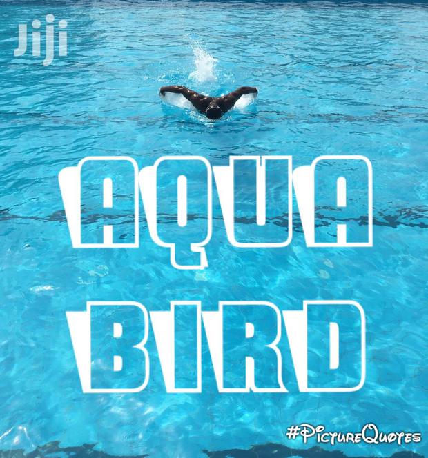Swimming For Health And Vitality. · Photo 2