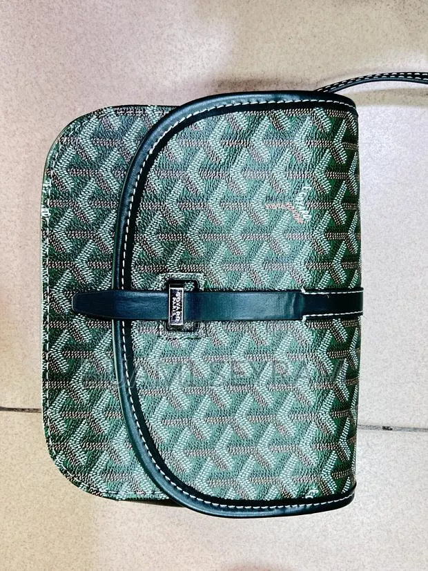 Goyard Red Exotic Bag · Photo 1