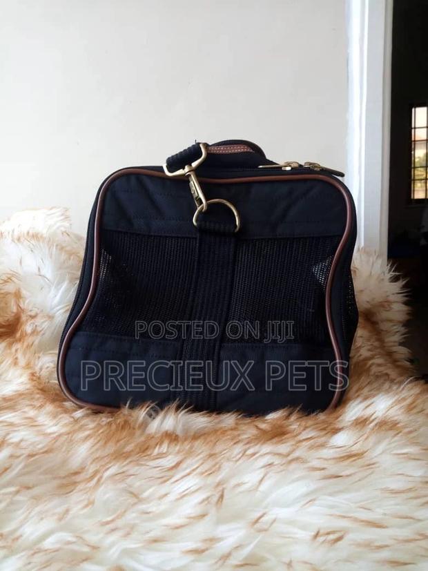 Cats And Dogs Mobile Bags Black · Photo 1