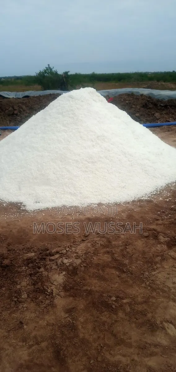 Ada Natural Salt (25kg) · Photo 1