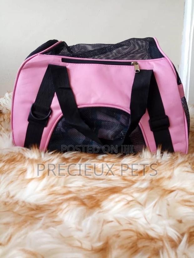 Pink Mobile Cat and Dog Bags · Photo 1