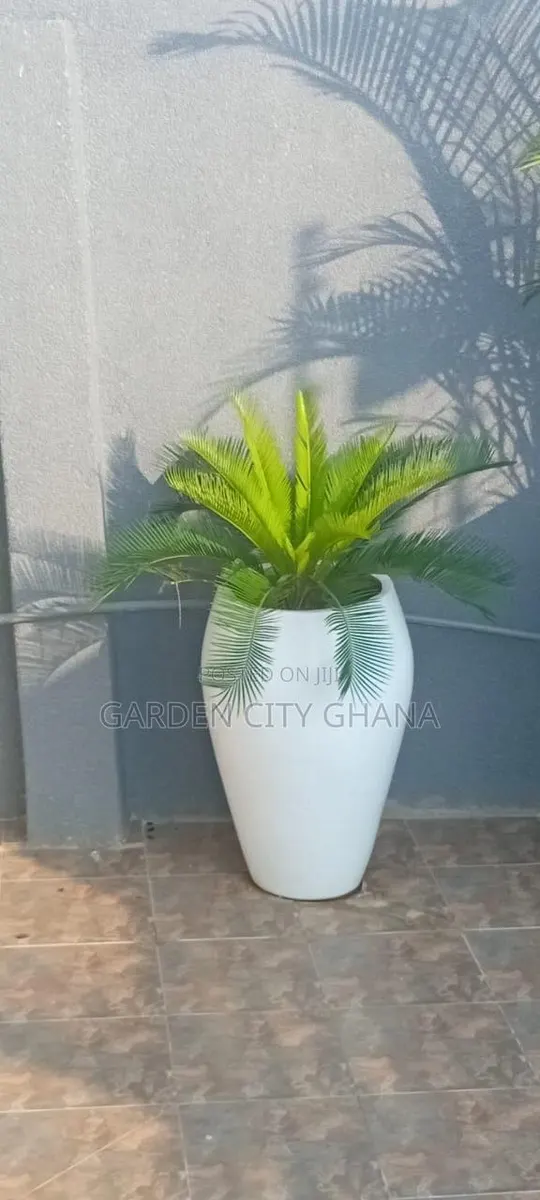 GreenCity Garden · Photo 4