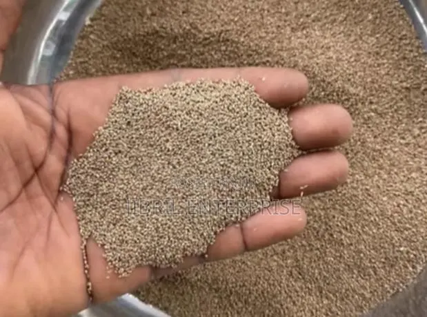 Fonio(Digitaria Exilis)Seeds For Planting, 1kg / 70gh · Photo 3