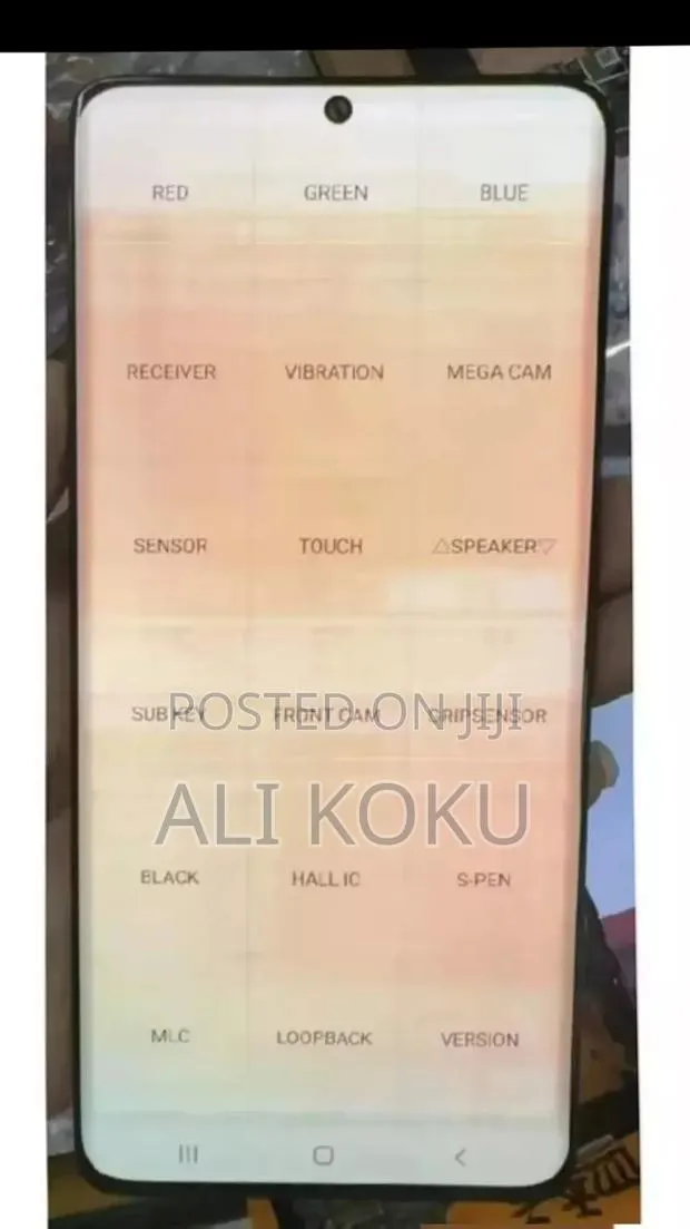Samsung S21 Ultra Screen, With Small Burn · Photo 1
