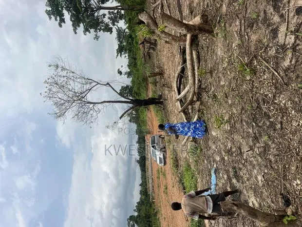 Plots of Land and Half Plots at Achinakrom · Photo 1
