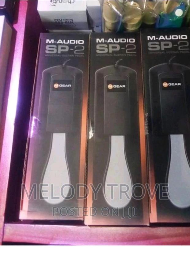 M-audio Sustain Pedal · Photo 1
