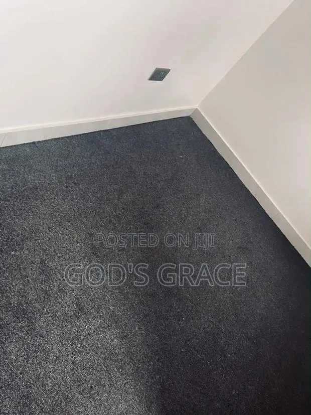 Heavy, Thick and Quality Grey Carpet for Living Rooms · Photo 1