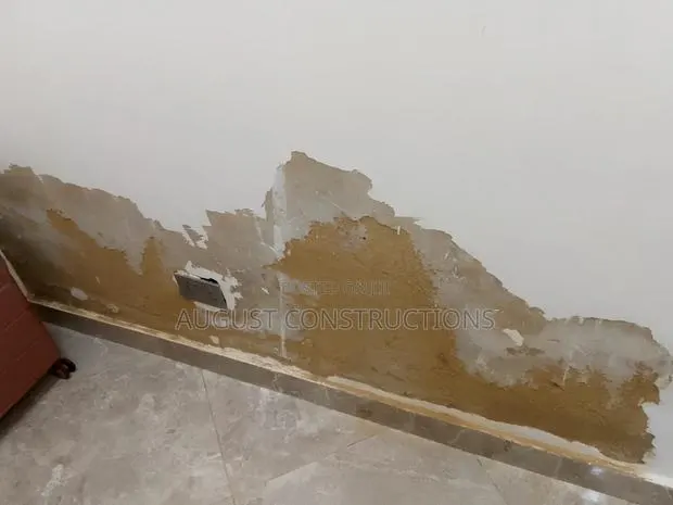 Dampness Treatment · Photo 1