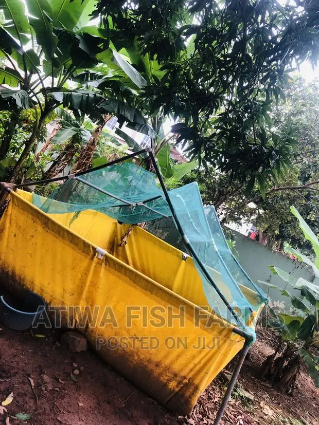 Tarpaulin Tank and Net Canopy Cover · Photo 1
