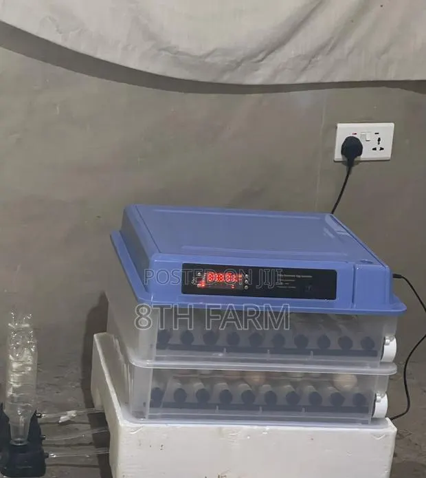 Automated Egg Incubator ( 200 Capacity) · Photo 2