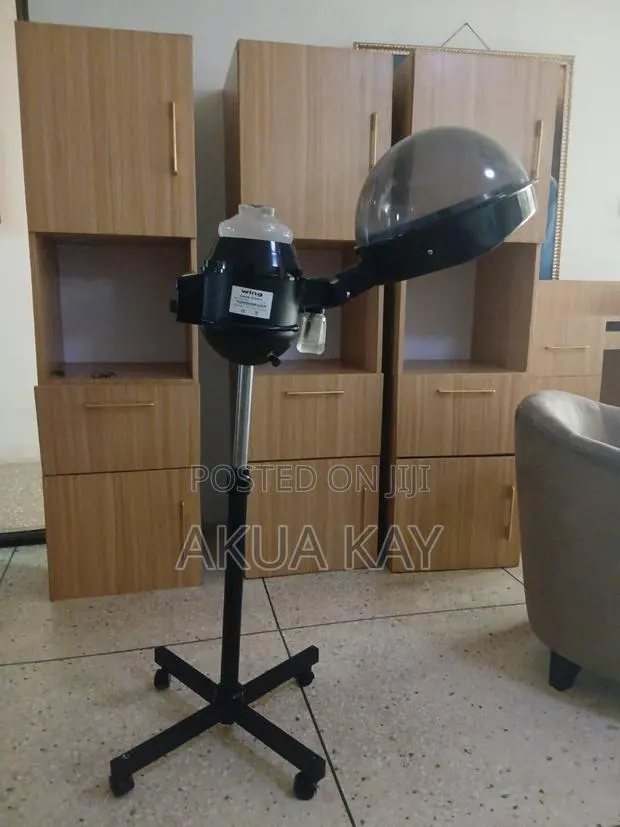 Standing Hair Steamer · Photo 1