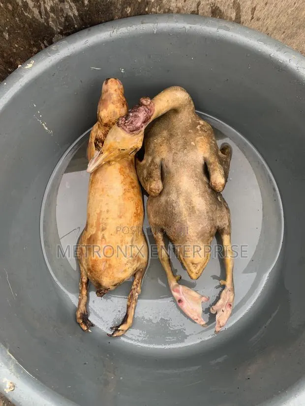 Duck Meat,2kg · Photo 1