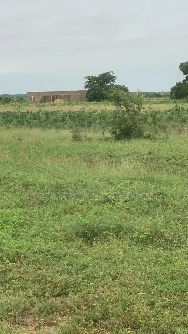 Hot Deal! Cheap Registered Lands at Sege - No Agent Wahala · Photo 1