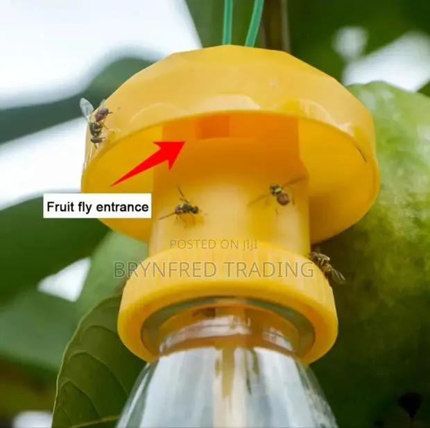 Bottle Cap and Sponge Stick (Fruitfly Control Kit) · Photo 1