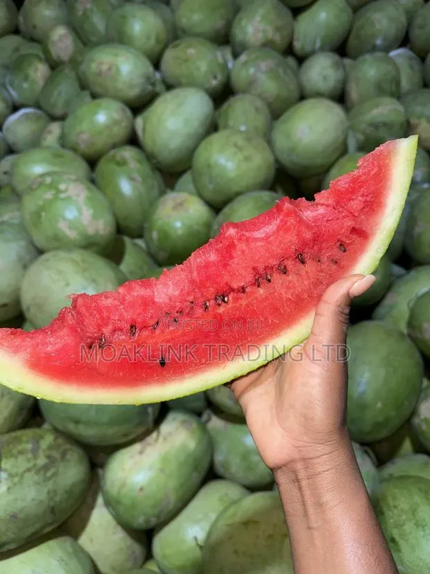 Watermelon (Medium) · Photo 1