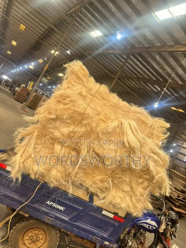 Pop Sisal Fiber · Photo 1
