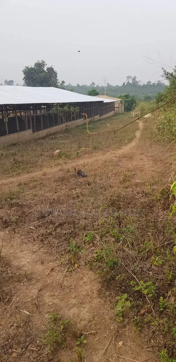 2 Acres of Land, Poultry Farm Land With Bed Room, Ofices, Water, Light · Photo 6