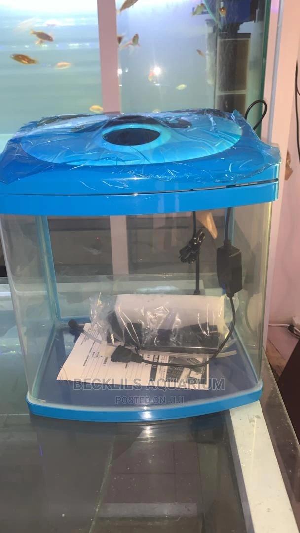 Imported Aquarium · Photo 2