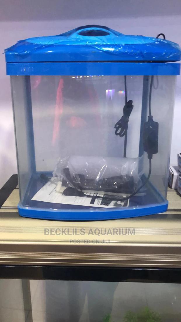 Imported Aquarium · Photo 1