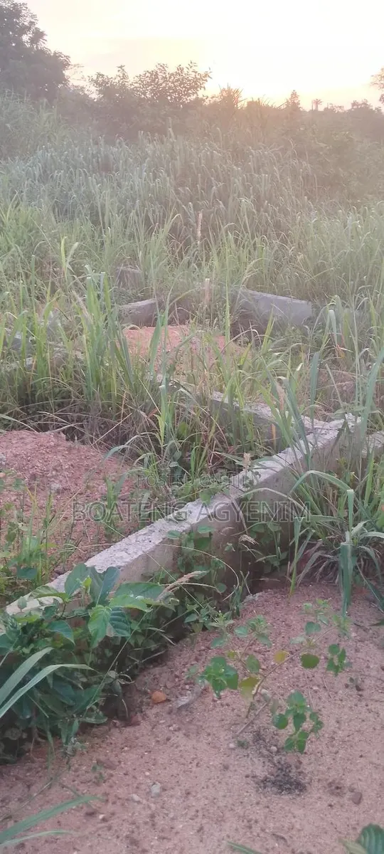 Half Plot With 3 BDRM Foundation, Sand Quarry Dust at Asonomaso SAFO · Photo 1