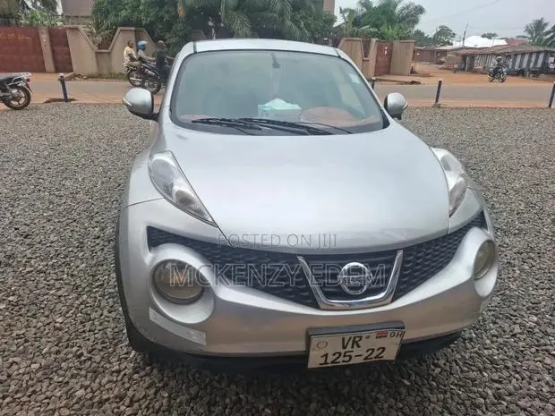 Nissan Juke 2011 Gray · Photo 1
