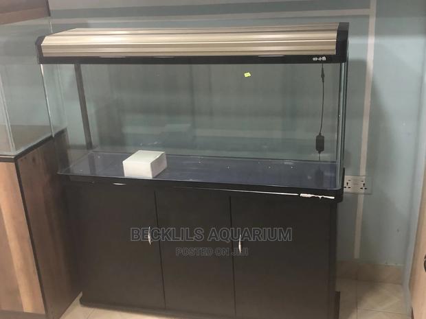 Package Aquarium · Photo 8