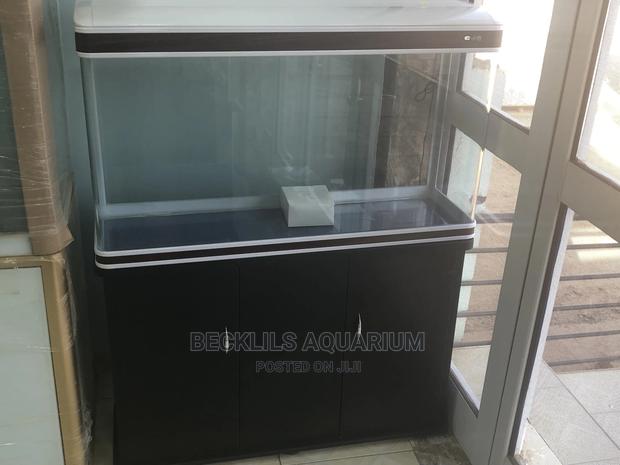 Package Aquarium · Photo 7