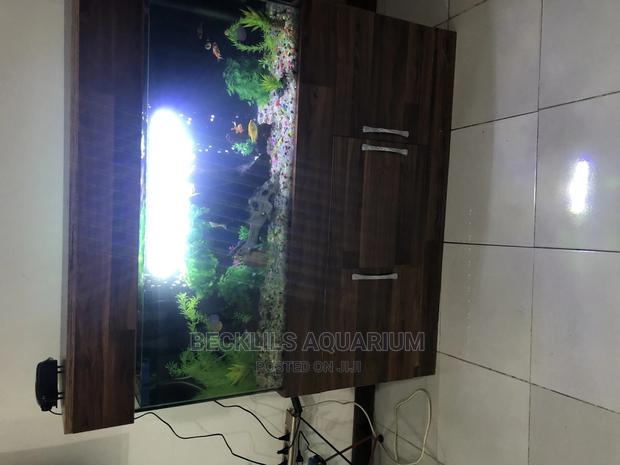 Package Aquarium · Photo 3