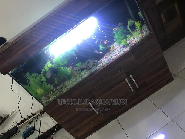 Package Aquarium · Photo 4