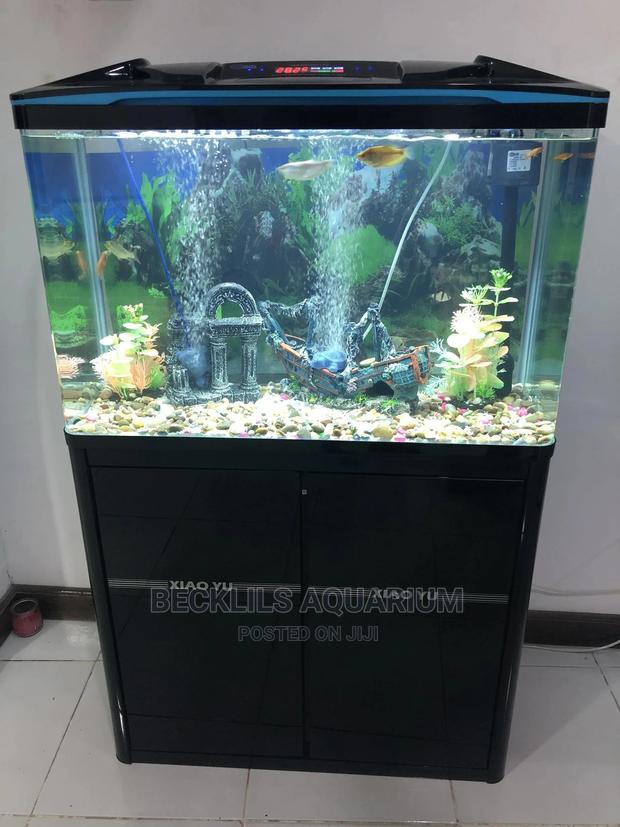 Package Aquarium · Photo 1