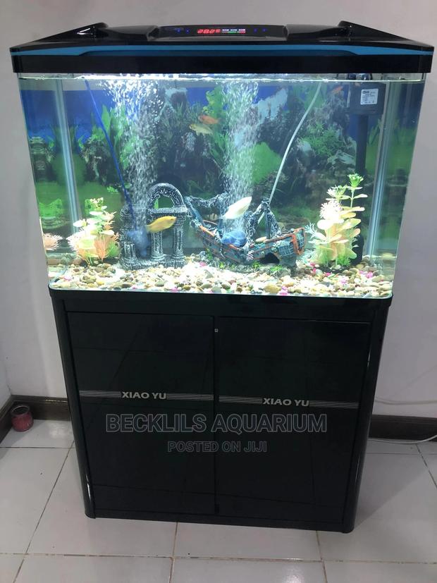 Package Aquarium · Photo 2