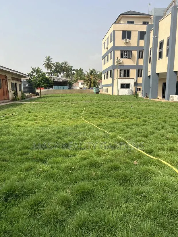 Masy Gardens N Landscaping · Photo 5
