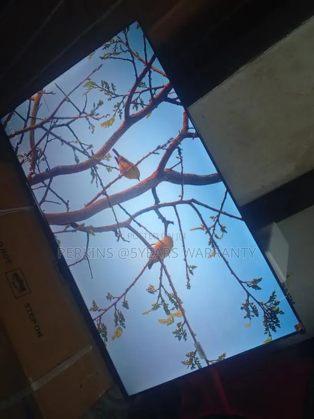 TCL Android 43" Smart Television · Photo 1