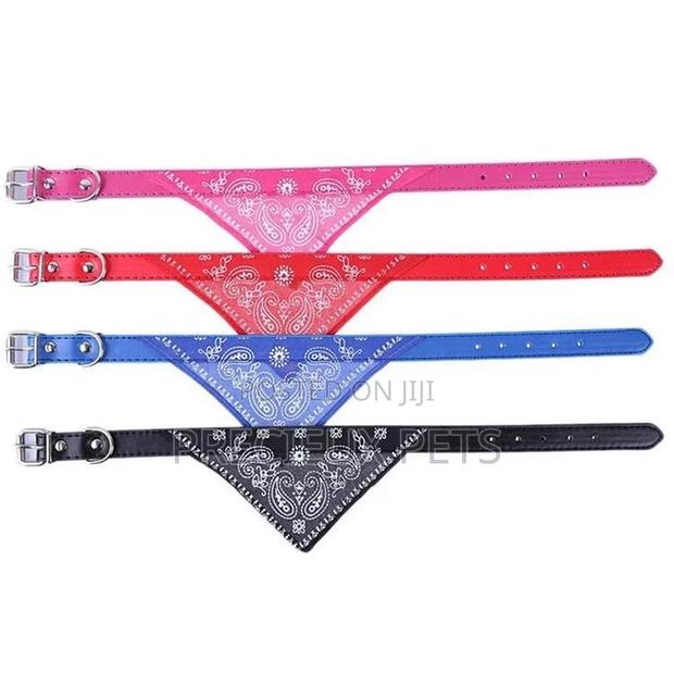 Bandana Collar 2cm for Puppies · Photo 1