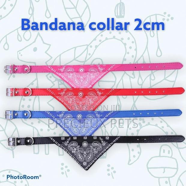 Bandana Collar 2cm for Puppies · Photo 2