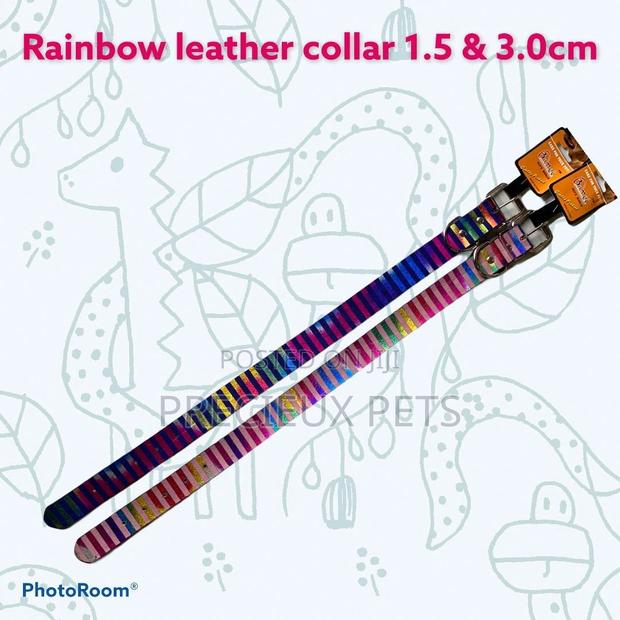 Rainbow Leather Collar for Puppies and Adults · Photo 1