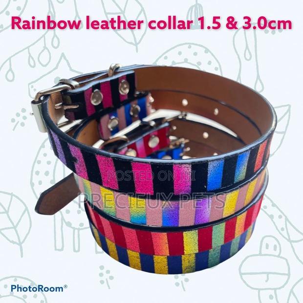 Rainbow Leather Collar for Adult Toy Dogs · Photo 1