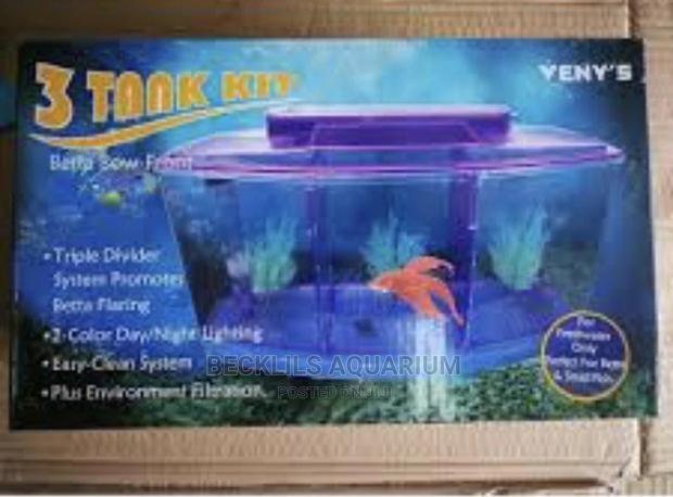 Mini 3 in 1 Aquarium Tank · Photo 1