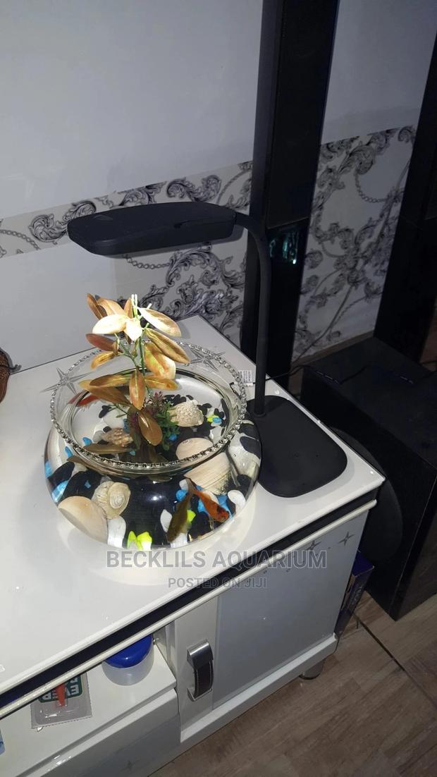 Mini Aquarium Fish Bowl · Photo 1