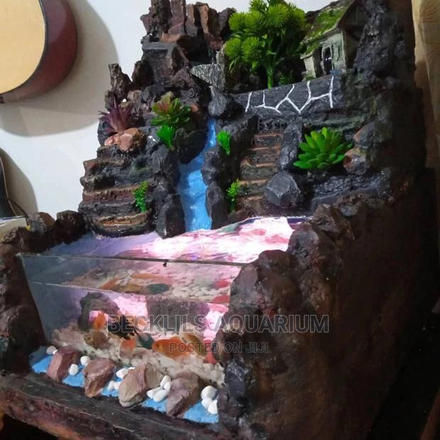 Aaqurium House · Photo 1