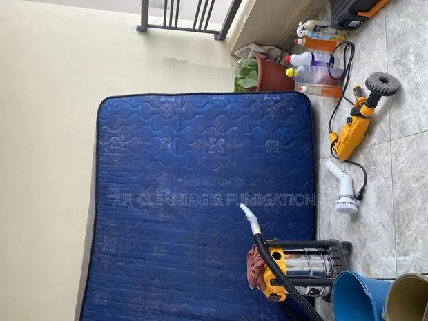 Mattress Cleaning and Vacuuming · Photo 1