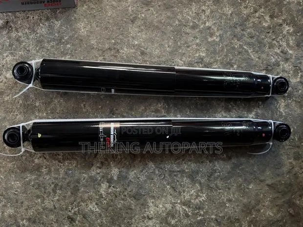 Ford F150 Back Shocks Absorber